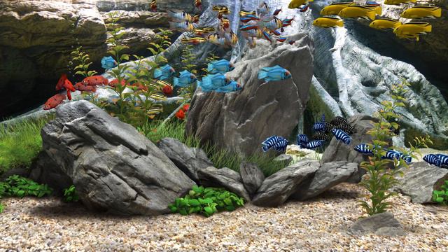 Dream Aquarium - Mixed #7 (4K)