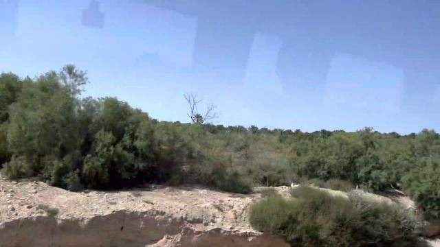 Плантация финиковых пальм (прямо в пустыне)🇮🇱👍 смотреть онлайн