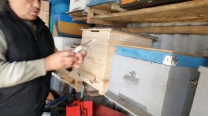 Как наиболее хорошо сохранить суш от восковой моли.