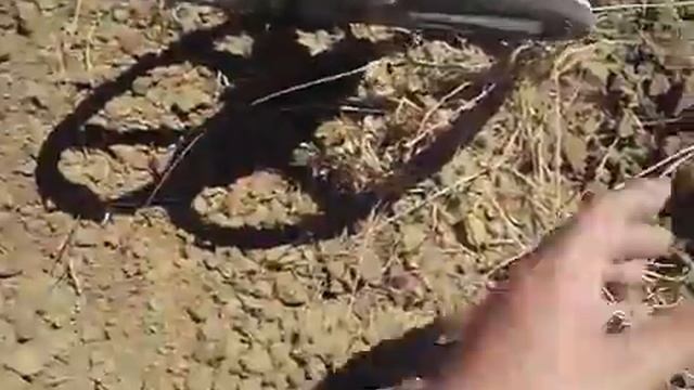 parte 3° modalità disc. detech eds смотреть онлайн