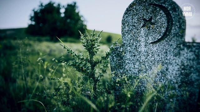 Очищайте сердца, чтобы они не покрылись коркой смотреть онлайн