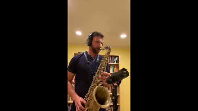 Goodbye Yellow Brick Road - Elton John(Saxophone cover by Ben Sachs) смотреть онлайн