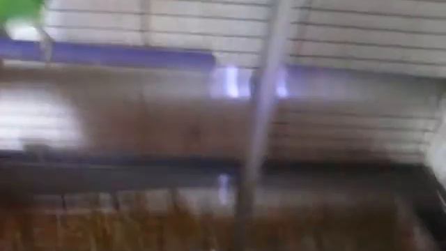Как делать не пойми чё смотреть онлайн