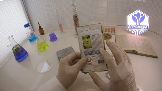 Томат Сахар белый. Седек смотреть онлайн