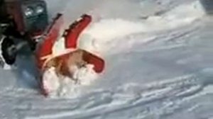 КМЗ 012 снегоуборщик 1