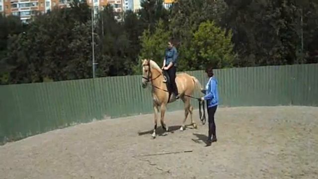 Занятия на Конно-спортивной базе ЦСКА смотреть онлайн