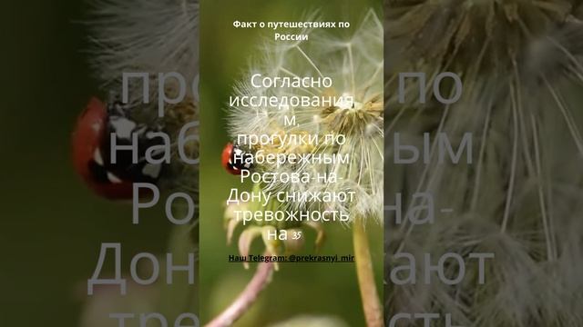 Путешествия по России смотреть онлайн