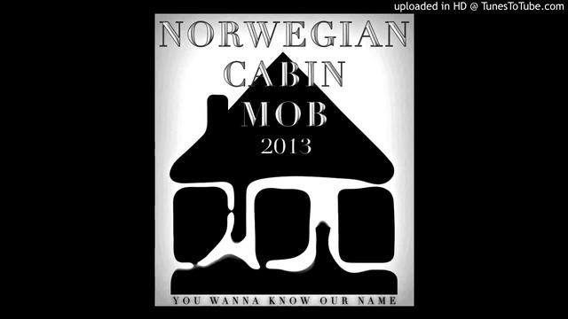 DJ SCHWEET - Norwegian Cabin Mob 2013 смотреть онлайн
