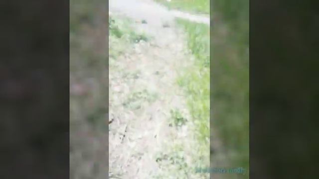 Там кто то или что то был (о) смотреть онлайн