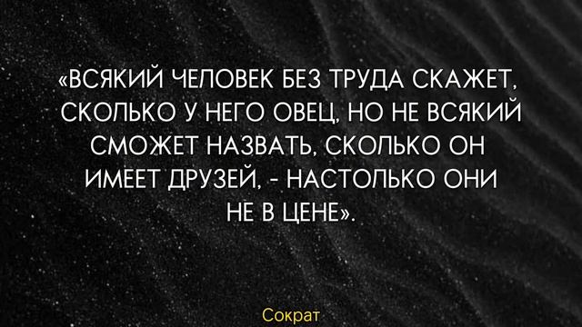 Сильные Слова и Мудрые Цитаты Про дружбу, Точные Цитаты Про Дружбу, Мудрые Мысли Великих Людей смотреть онлайн
