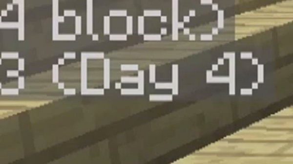 How to see how many days have passed in Minecraft