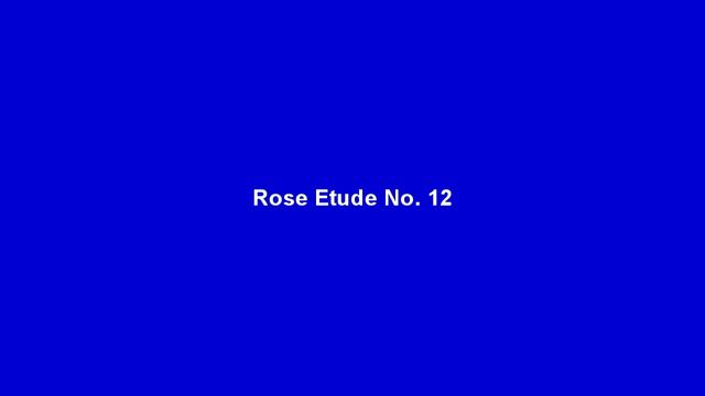 Complete Rose 40 Clarinet Etudes 1-20 смотреть онлайн
