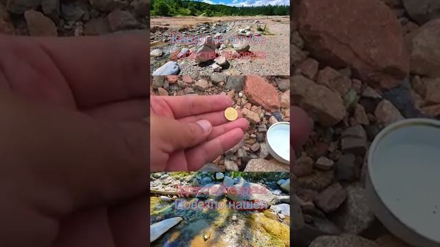 Какие чудеса в природе 87 смотреть онлайн