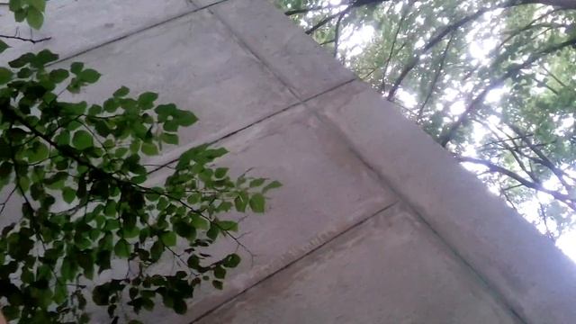 пролез незакона в садик чуть несловили смотреть онлайн