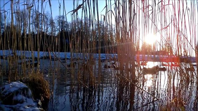 Menneen talven lumia, Kalevi Aho b 1949, String Quartet No 3, First Movement, Vivace, Jean Sibelius смотреть онлайн