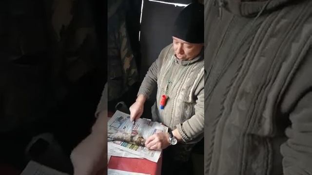 щучка травянка.. осенью смотреть онлайн
