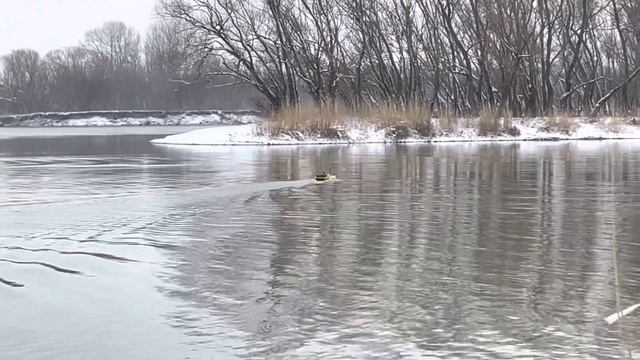 Про Ивана Б…ЛА, который пускает слухи! Тест корабликов с Эхолотами DEEPER смотреть онлайн
