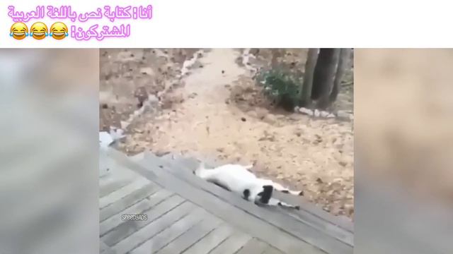 коза упала смотреть онлайн