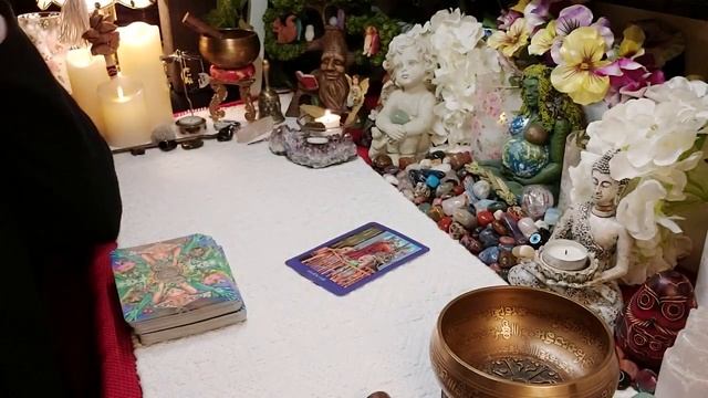ALL SIGNS - PREDICTIONS - TAROT READING смотреть онлайн