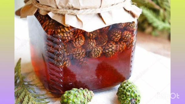 Заняття з природнього довкілля та аплікації.Тема:"Зелена красуня". смотреть онлайн