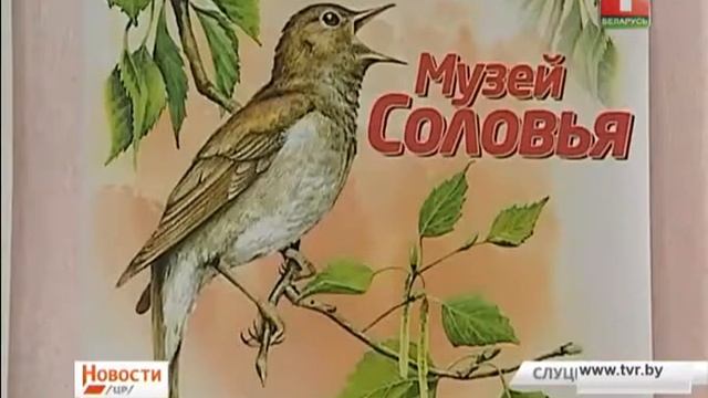 Эколого патриотический форум стал площадкой для презентации исследовательских работ смотреть онлайн