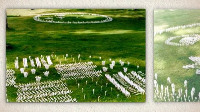 Необычные клумбы на даче смотреть онлайн