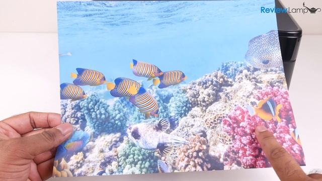 Epson XP-340 Printer Review смотреть онлайн