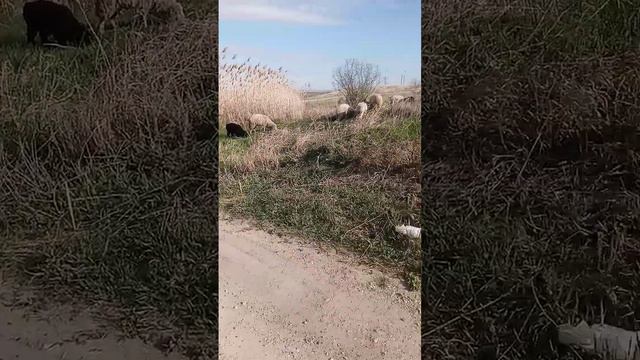 7 апреля 2024 г. (2).mp4 смотреть онлайн