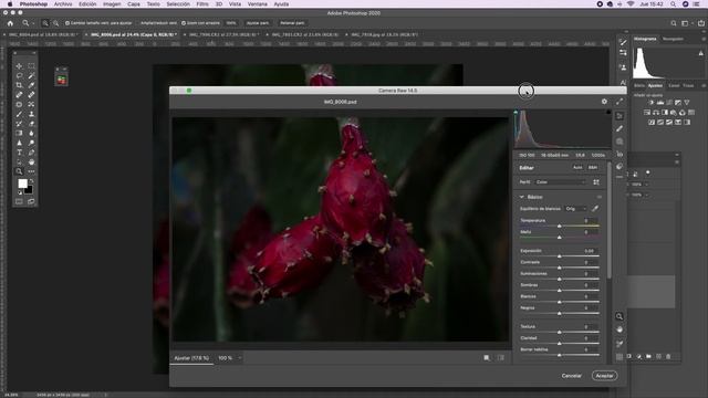 Canon 7D test 2023 Español смотреть онлайн