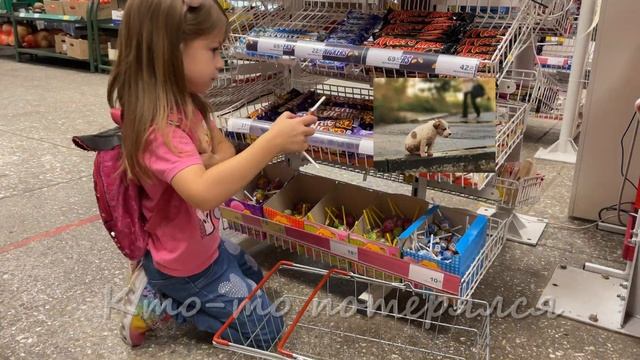 Социальный ролик о бездомных животных смотреть онлайн