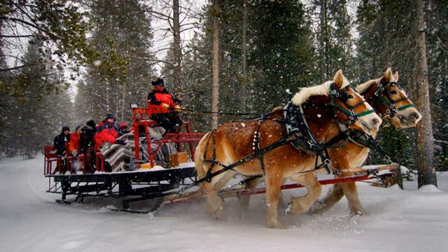 Christmas Is Coming ~ an ORIGINAL Christmas song by the Nayman Blood Brothers Band смотреть онлайн