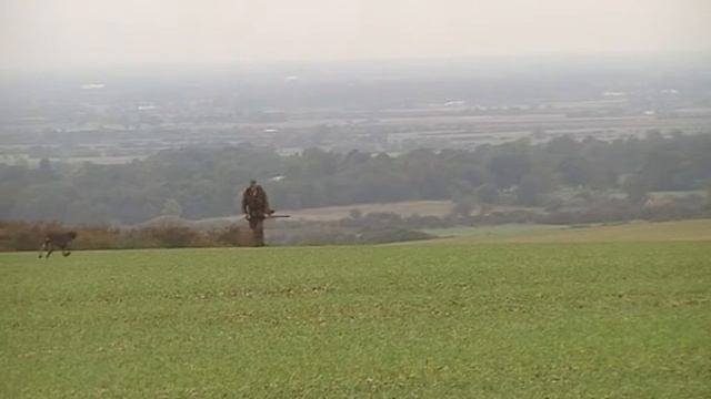 old git. смотреть онлайн