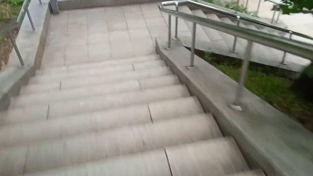 Кулинарного Дела Мастер