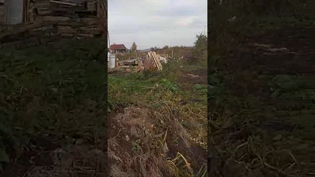 Дом под снос и что дальше смотреть онлайн