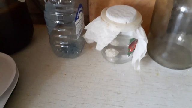 Сохранение кефирного грибка на короткое время!!? смотреть онлайн