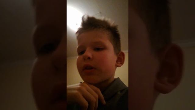Белочка Дегу в домашних условиях смотреть онлайн