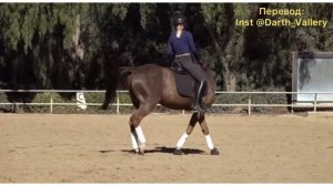 Что делать, если лошадь разносит, козлит и т.д.