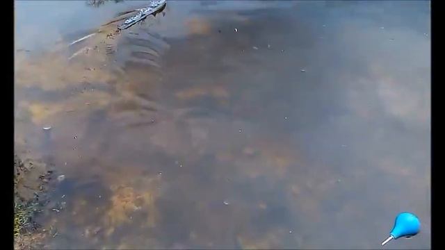 Врятувати рядового клізму смотреть онлайн