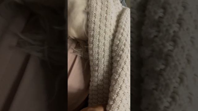 담요를 머리끝까지 덮어주는거 좋아하는편.... #말티즈 #잘자요 смотреть онлайн