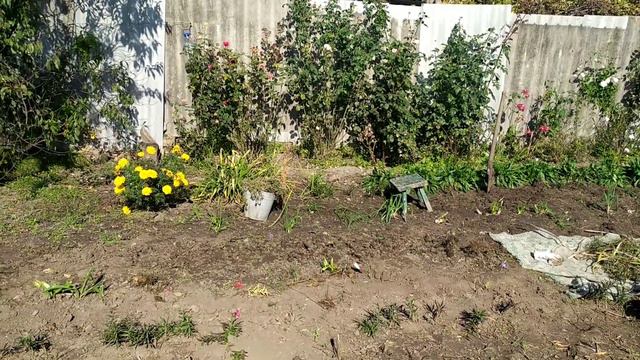 Заробила на горіхи від Анатолійовича. смотреть онлайн