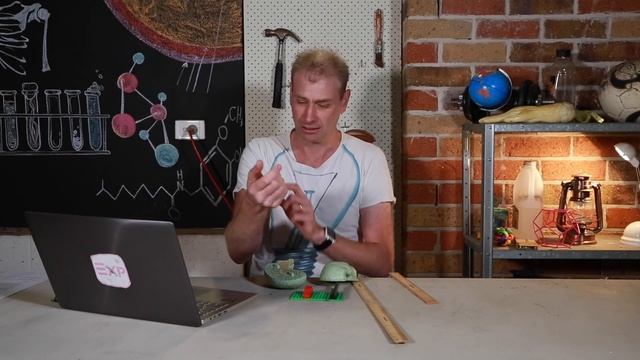 The Speed of Thinking - Science - The Big Brain Experiment смотреть онлайн