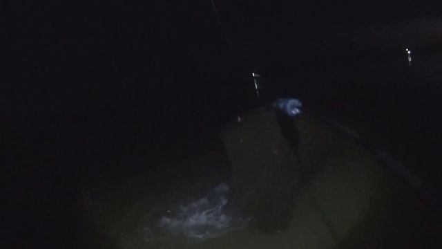 Поклёвки карпов на рассвете! Рыба не даёт даже отдохнуть. Водоём "AQUA" (первая часть) смотреть онлайн