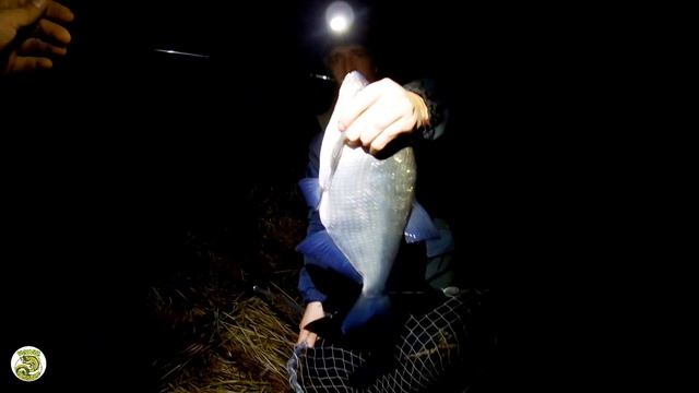 Рыбалка с ночёвкой на Западной Двине. Лещ в октябре смотреть онлайн