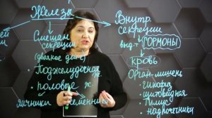 Гуморальная регуляция - управление с помощью гормонов. 8 класс.