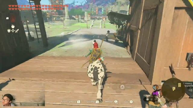 How to complete the Side Quest Spotting Spot The Legend of Zelda Tears of the Kingdom смотреть онлайн