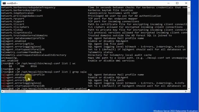 How to enable SQL Server Agent on Linux смотреть онлайн