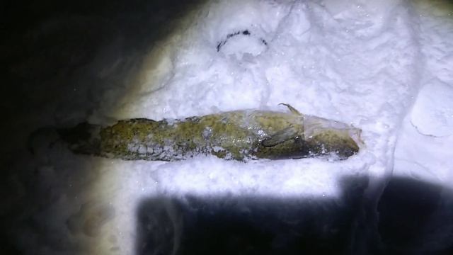 Не густо и не пусто, ловим налима 16.11.2023 открыли сезон. смотреть онлайн