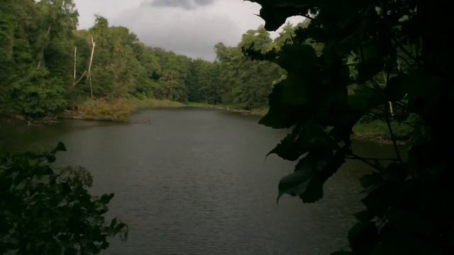 Что делать во время дождя? смотреть онлайн