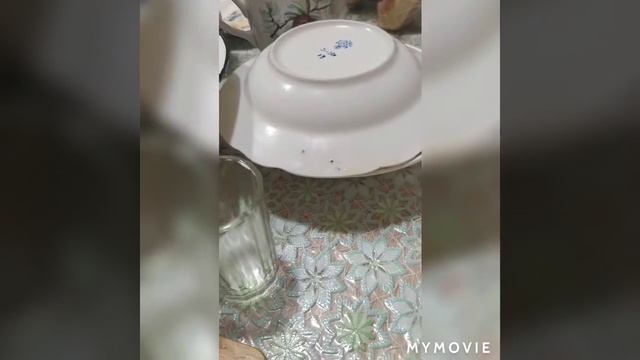 Жареное мясо лося на сковородке, быстро, просто, вкусно! смотреть онлайн