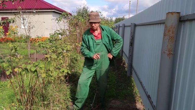 Как завалить вожака стаи кротов на вашем участке! 2 смотреть онлайн